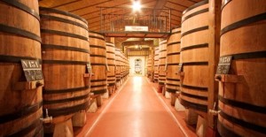 Barricas de Bodegas Muga