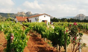 A Tavola con il Conte - Blanco Bodegas Muga - Portada