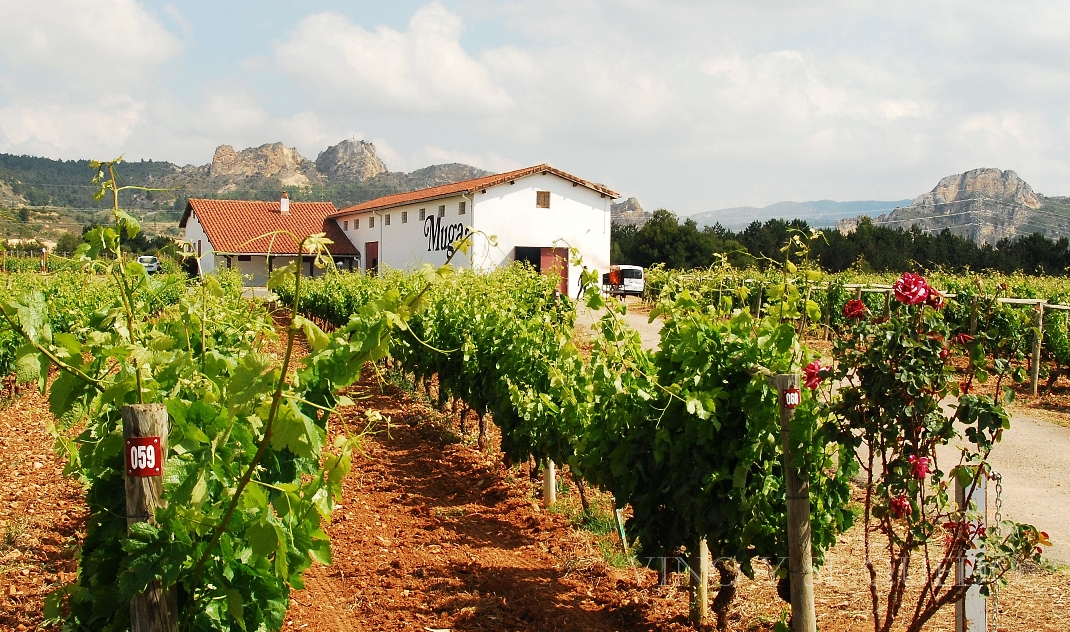 A Tavola con il Conte - Blanco Bodegas Muga - Portada