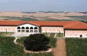 Museum Reserva - A Tavola con il Conte - Viñedos para la portada