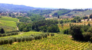 Fattoria de Fubbiano en las Coline Lucchese Portada - A Tavola con il conte