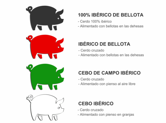 clasificación del jamón ibérico