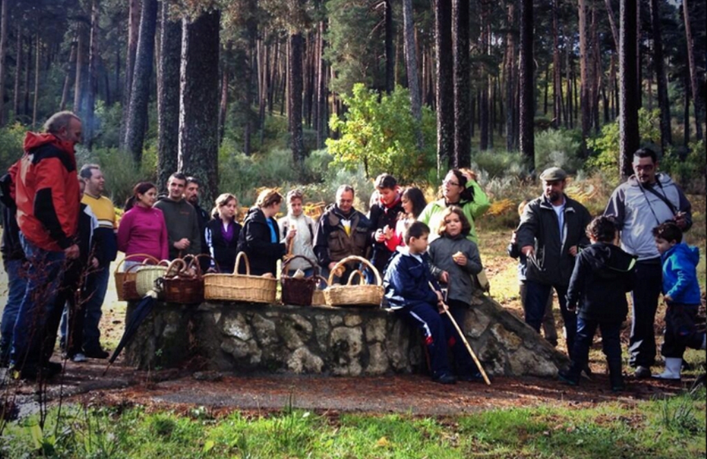 Tuitquedadamicológica - A Tavola con il conte