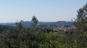 Cantina Corte alle Mura - A Tavola con il conte