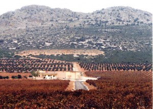 Pago Florentino - A Tavola con il Conte