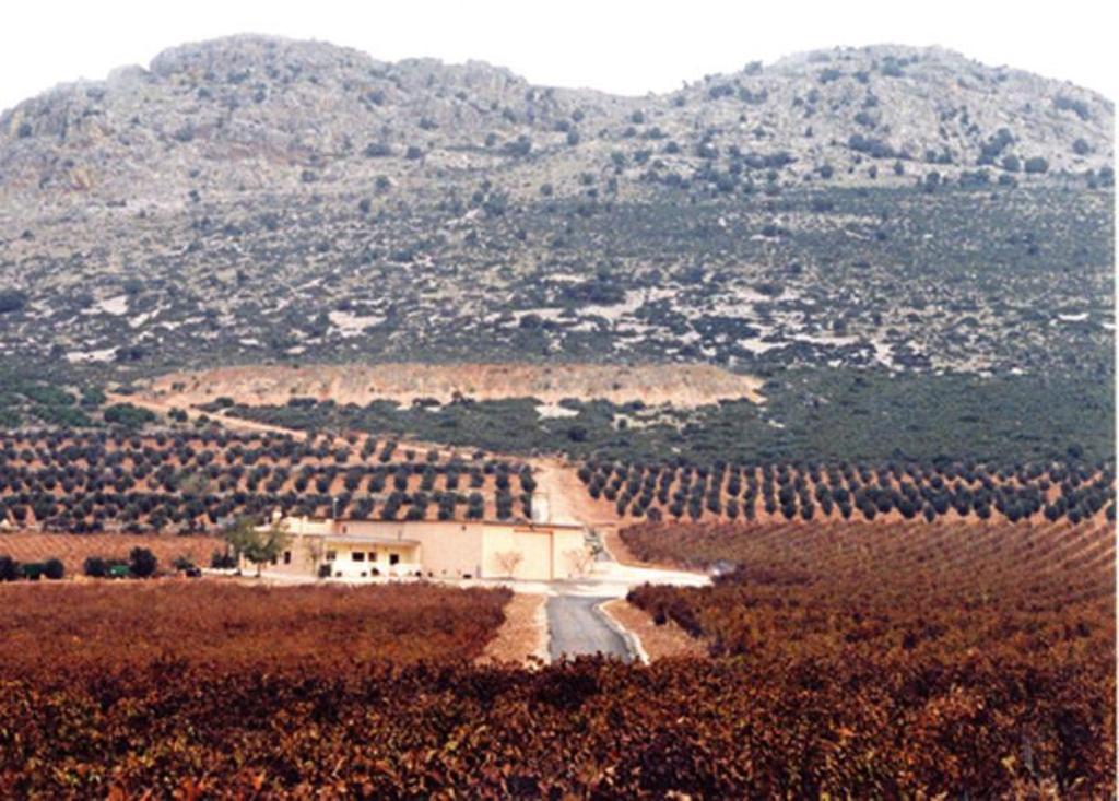 Pago Florentino - A Tavola con il Conte