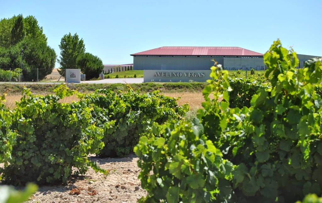 Nicte - Portada - A Tavola con il Conte