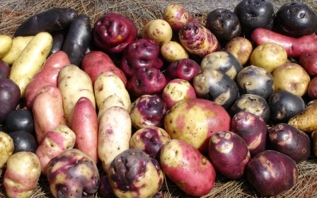 patatas peruanas