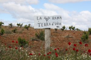 Portada - Terra D'Uro