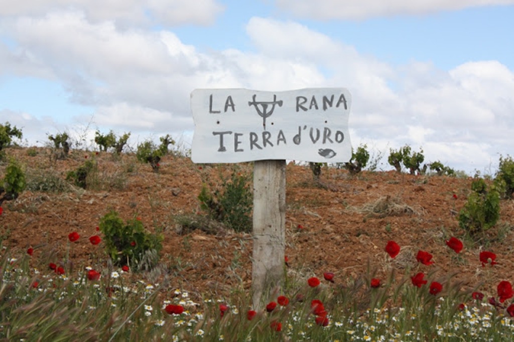 Portada - Terra D'Uro