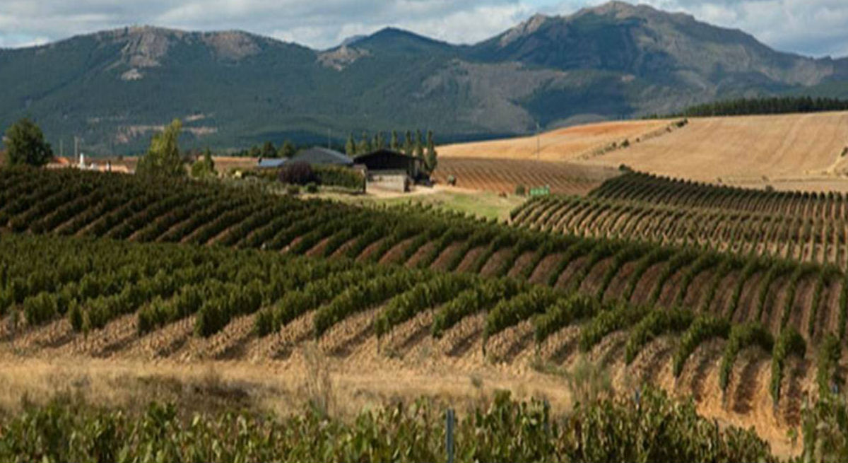 Portada del Tinto Finca Rio Negro