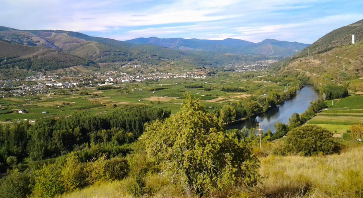 Portada del Crianza Pagos el Galir - A tavola con il Conte