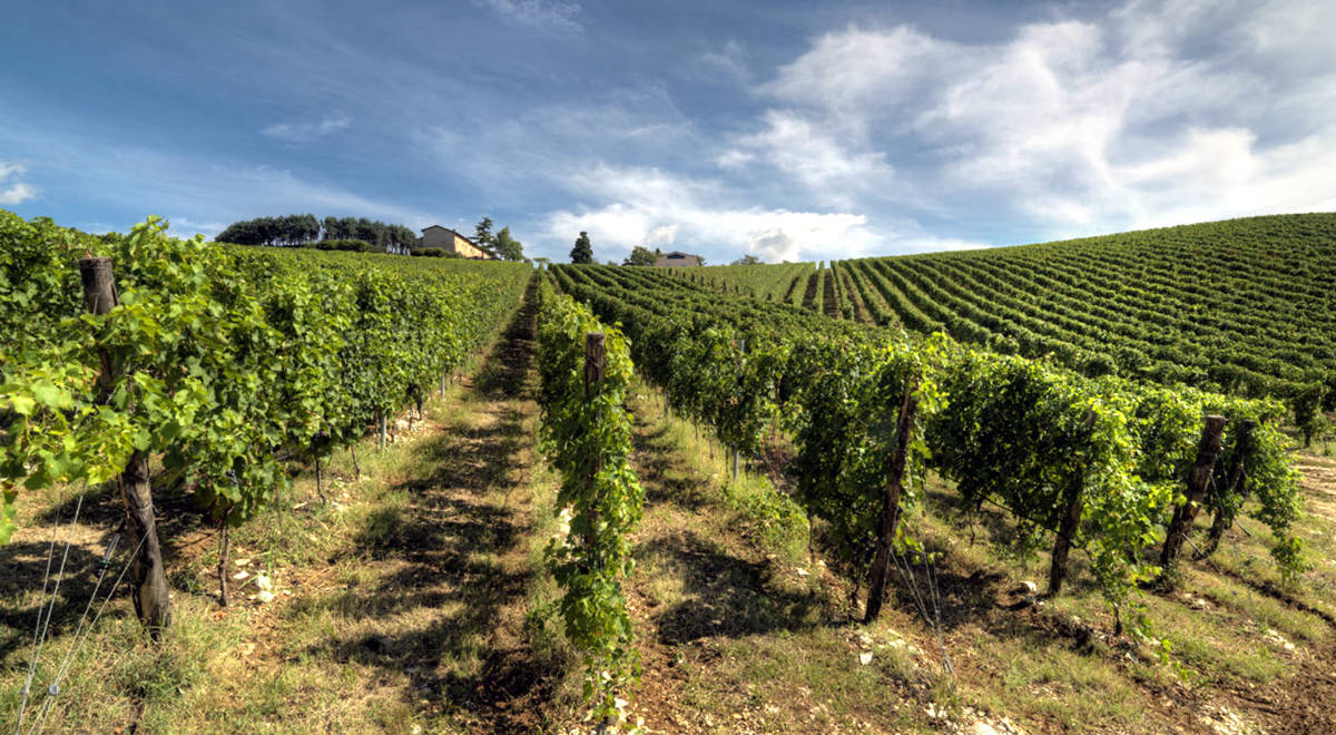 Portada del Tenuta Pole Ripasso - A Tavola con il Conte