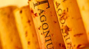 Tagonius roble 2014 - A Tavola con il Conte Portada