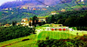 Fattoria di Fubbiano - A Tabola con il Conte - Portada