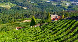 Márques de Vizhoja - A Tavola con il conte