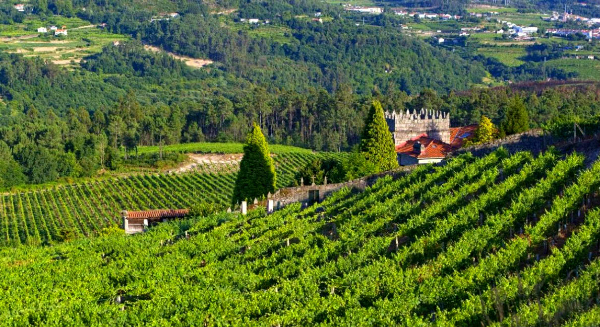 Márques de Vizhoja - A Tavola con il conte