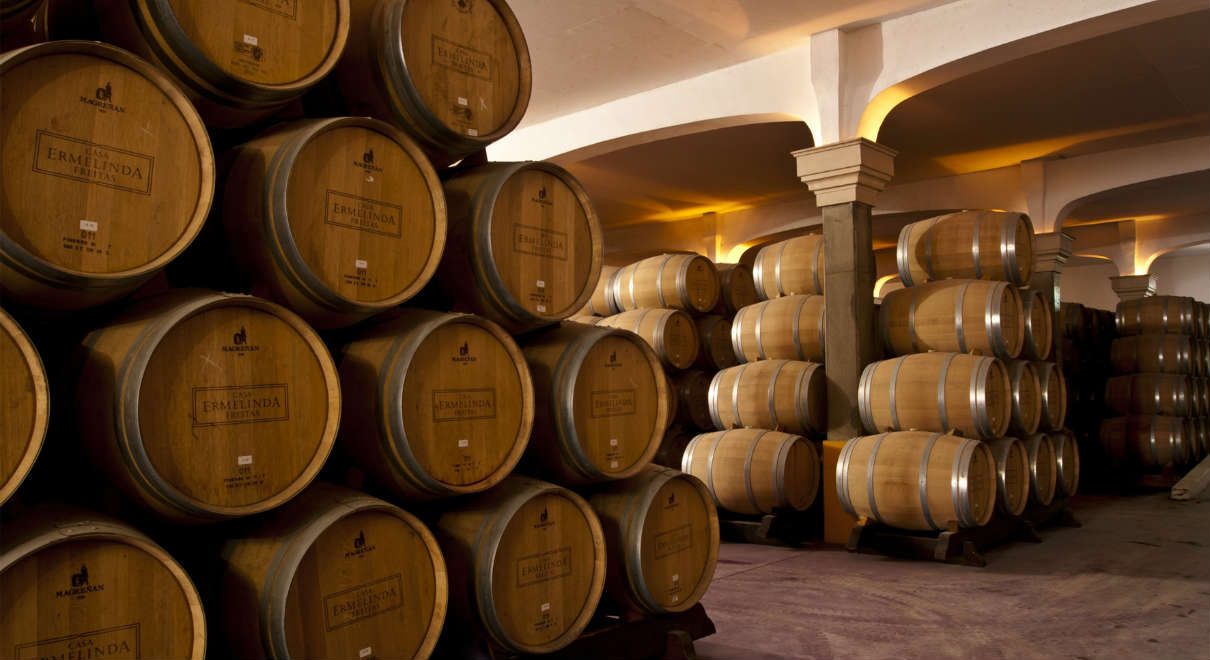 Cata del Dona Ermelinda crianza 2013 - A Tavola con il Conte