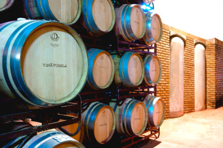 Elaboración de vinos en Bodega Toribio