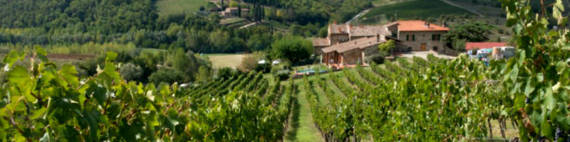 Los Top 10 vinos italianos