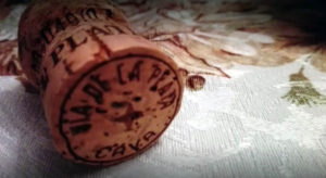 Cava de Bodegas Via de la Plata - A Tavola con il Conte