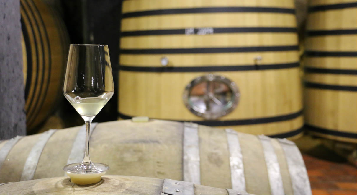 Experiencia Destino Verdejo - A Tavola con il Conte