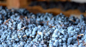 Vino Santalba Amaro, un vino amarone en La Rioja - A Tavola conil Conte