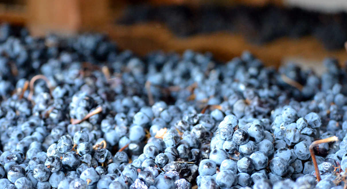 Vino Santalba Amaro, un vino amarone en La Rioja - A Tavola conil Conte