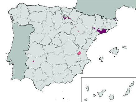 Mapa del Cava en España