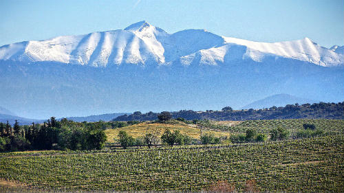 Viñedos protegidos por los Pirineos - Imagen de Descubre Huesca