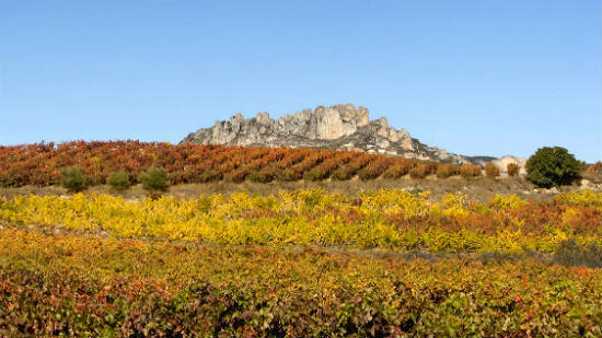 Visitar La Rioja Alta en otoño - Imagen de la bodega
