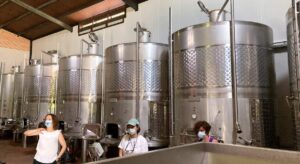 Vinos de la Manchuela - La mesa del Conde