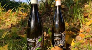 Vinos blanco Parcela - La mesa del Conde