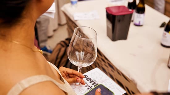 Conociendo los vinos de la DOP. Sierra de Salamanca - Imagen de la Organización