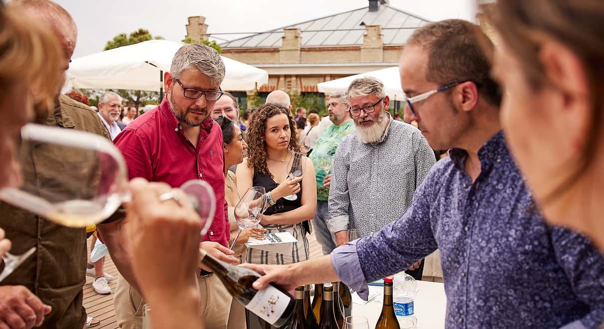 Mejores vinos del 2022