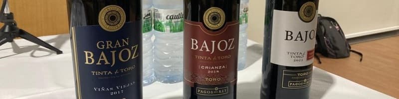 Degustación y cata de los vinos Bajoz