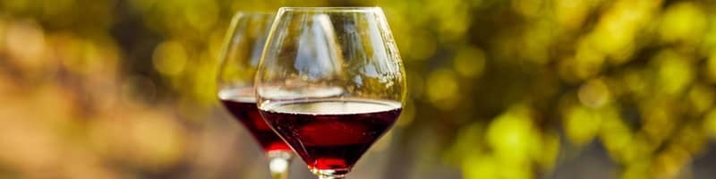 Jornadas de Tradiciones y vino 2024