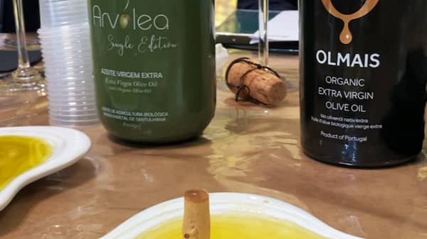 Aceites de oliva virge extra de Tras-Os-montes- La mesa del Conde