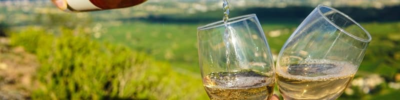 Vinos de Galicia