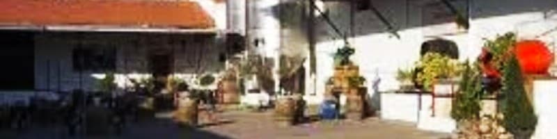 Cata del Aris blanco de la variedad Torrontés de Bodegas Mariscal