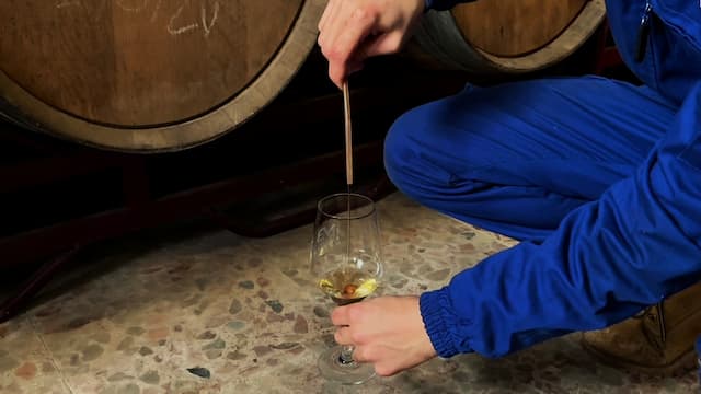 Catando un vino desde la barrica de las criaderas - La mesa del Conde